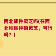 西北能种灵芝吗(在西北地区种植灵芝，可行吗？)