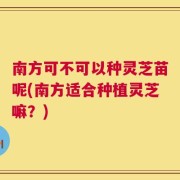 南方可不可以种灵芝苗呢(南方适合种植灵芝嘛？)