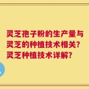 灵芝孢子粉的生产量与灵芝的种植技术相关？灵芝种植技术详解？