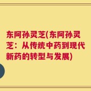 东阿孙灵芝(东阿孙灵芝：从传统中药到现代新药的转型与发展)
