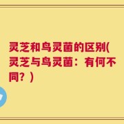 灵芝和鸟灵菌的区别(灵芝与鸟灵菌：有何不同？)