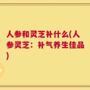 人参和灵芝补什么(人参灵芝：补气养生佳品)