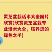灵芝盆栽话术大全图片欣赏(欣赏灵芝盆栽专业话术大全，培养您的绿色之手)