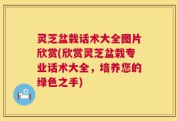 灵芝盆栽话术大全图片欣赏(欣赏灵芝盆栽专业话术大全，培养您的绿色之手)