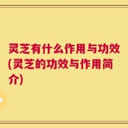 灵芝有什么作用与功效(灵芝的功效与作用简介)