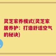 灵芝家养模式(灵芝家居养护：打造舒适空气的秘诀)