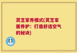 灵芝家养模式(灵芝家居养护：打造舒适空气的秘诀)