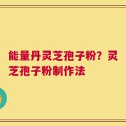 能量丹灵芝孢子粉？灵芝孢子粉制作法