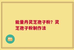 能量丹灵芝孢子粉？灵芝孢子粉制作法