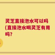 灵芝直接泡水可以吗 (直接泡水喝灵芝有用吗？