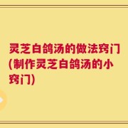灵芝白鸽汤的做法窍门(制作灵芝白鸽汤的小窍门)
