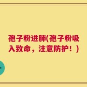 孢子粉进肺(孢子粉吸入致命，注意防护！)