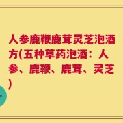 人参鹿鞭鹿茸灵芝泡酒方(五种草药泡酒：人参、鹿鞭、鹿茸、灵芝)