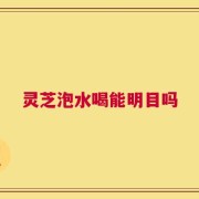 灵芝泡水喝能明目吗