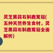 灵芝黑蒜石斛鹿茸菇(五种天然养生食材，灵芝黑蒜石斛鹿茸菇全面解析)
