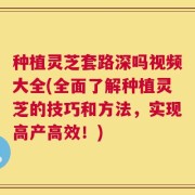 种植灵芝套路深吗视频大全(全面了解种植灵芝的技巧和方法，实现高产高效！)