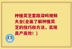 种植灵芝套路深吗视频大全(全面了解种植灵芝的技巧和方法，实现高产高效！)
