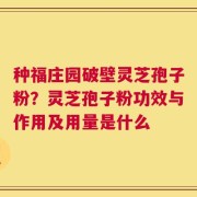 种福庄园破壁灵芝孢子粉？灵芝孢子粉功效与作用及用量是什么