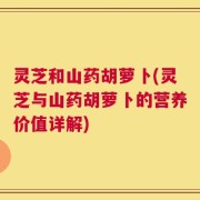灵芝和山药胡萝卜(灵芝与山药胡萝卜的营养价值详解)