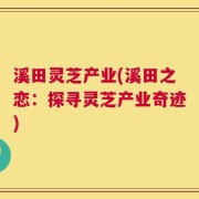溪田灵芝产业(溪田之恋：探寻灵芝产业奇迹)