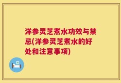 洋参灵芝煮水功效与禁忌(洋参灵芝煮水的好处和注意事项)