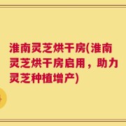淮南灵芝烘干房(淮南灵芝烘干房启用，助力灵芝种植增产)