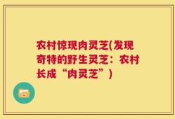 农村惊现肉灵芝(发现奇特的野生灵芝：农村长成“肉灵芝”)