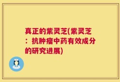 真正的紫灵芝(紫灵芝：抗肿瘤中药有效成分的研究进展)
