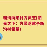 新沟向阳村方灵芝(阳光之下：方灵芝赋予新沟村希望)