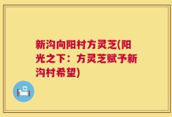 新沟向阳村方灵芝(阳光之下：方灵芝赋予新沟村希望)