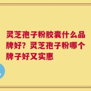 灵芝孢子粉胶囊什么品牌好？灵芝孢子粉哪个牌子好又实惠
