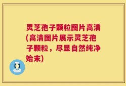 灵芝孢子颗粒图片高清(高清图片展示灵芝孢子颗粒，尽显自然纯净始末)
