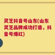 灵芝抖音号山东(山东灵芝品牌成功打造，抖音号爆红)