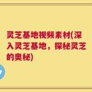 灵芝基地视频素材(深入灵芝基地，探秘灵芝的奥秘)