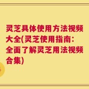 灵芝具体使用方法视频大全(灵芝使用指南：全面了解灵芝用法视频合集)