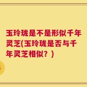 玉玲珑是不是形似千年灵芝(玉玲珑是否与千年灵芝相似？)