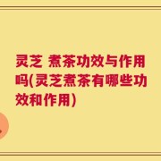 灵芝 煮茶功效与作用吗(灵芝煮茶有哪些功效和作用)