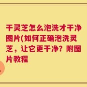 干灵芝怎么泡洗才干净图片(如何正确泡洗灵芝，让它更干净？附图片教程