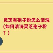 灵芝有孢子粉怎么清洗(如何清洗灵芝孢子粉？)
