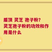 盾顶 灵芝 孢子粉？灵芝孢子粉的功效和作用是什么