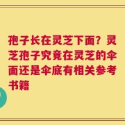 孢子长在灵芝下面？灵芝孢子究竟在灵芝的伞面还是伞底有相关参考书籍