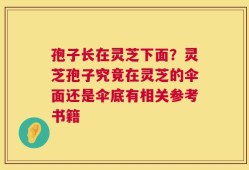 孢子长在灵芝下面？灵芝孢子究竟在灵芝的伞面还是伞底有相关参考书籍