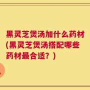 黑灵芝煲汤加什么药材(黑灵芝煲汤搭配哪些药材最合适？)