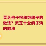 灵芝孢子粉和炖鸽子的做法？灵芝十全鸽子汤的做法