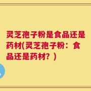 灵芝孢子粉是食品还是药材(灵芝孢子粉：食品还是药材？)