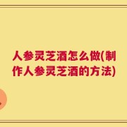 人参灵芝酒怎么做(制作人参灵芝酒的方法)