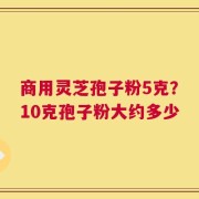 商用灵芝孢子粉5克？10克孢子粉大约多少