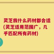 灵芝我什么药材都合适(灵芝适用范围广，几乎匹配所有药材)