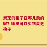 灵芝的孢子在哪儿卖的呢？哪里可以买到灵芝孢子