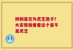 辨别是否为灵芝孢子？大家帮我看看这个是不是灵芝